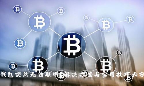 TP钱包突然无法联网？解决方案与实用技巧大分享