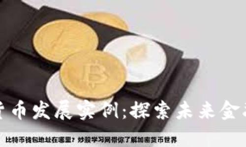 中国数字货币发展实例：探索未来金融的新机遇