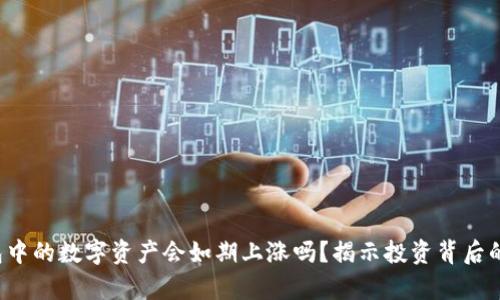 TP钱包中的数字资产会如期上涨吗？揭示投资背后的真相！