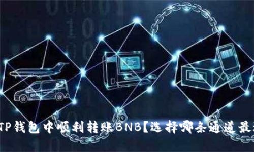 如何在TP钱包中顺利转账BNB？选择哪条通道最适合你？