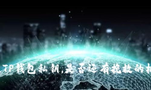 丢失TP钱包私钥，是否还有挽救的机会？