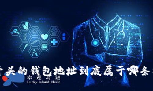 你知道吗？TP开头的钱包地址到底属于哪条神秘的区块链？