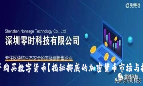 挪威能否购买数字货币？揭秘挪威的加密货币市场与投资机会