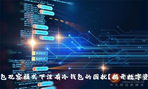 如何应对TP钱包观察模式下没有冷钱包的困扰？揭开数字资产安全的秘密