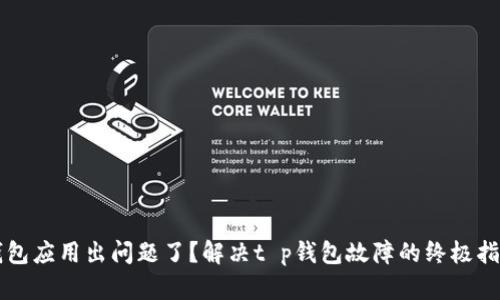 钱包应用出问题了？解决t p钱包故障的终极指南