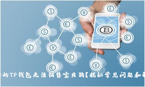 为什么你的TP钱包无法销售宝贝狗？揭秘常见问题和解决方案！
