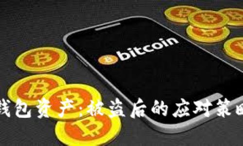 保护你的TP钱包资产：被盗后的应对策略与安全保障