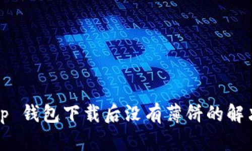 新手必看：t p 钱包下载后没有薄饼的解决方案与技巧