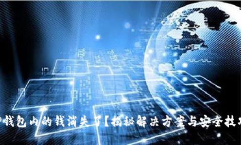 TP钱包内的钱消失了？揭秘解决方案与安全技巧！