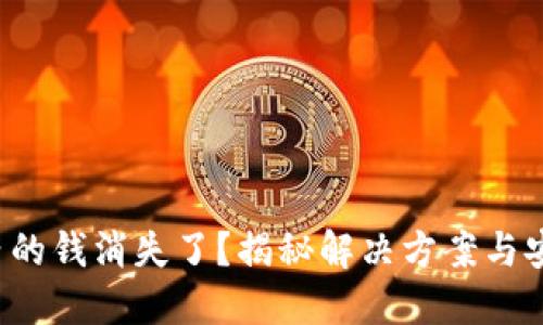 TP钱包内的钱消失了？揭秘解决方案与安全技巧！