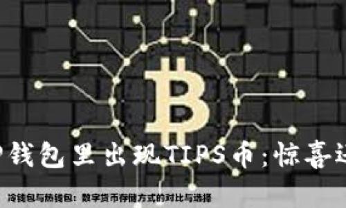当你的TP钱包里出现TIPS币：惊喜还是烦恼？