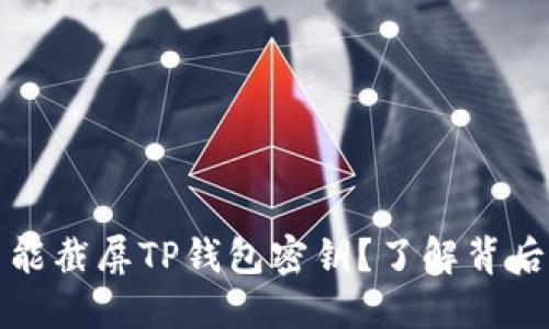 为什么你绝不能截屏TP钱包密钥？了解背后的隐患与风险