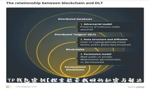 丢失TP钱包密钥？探索能否找回的秘密与解决方案