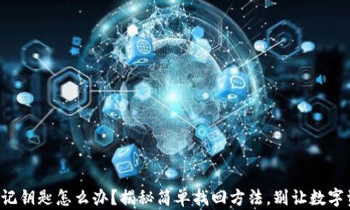 
TP钱包忘记钥匙怎么办？揭秘简单找回方法，别让数字资产消失！
