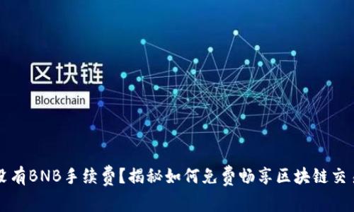 “TP钱包没有BNB手续费？揭秘如何免费畅享区块链交易的秘密”