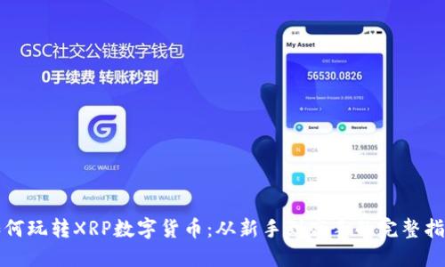 如何玩转XRP数字货币：从新手到高手的完整指南