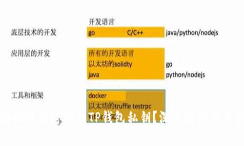 如何找回没有密码的TP钱包私钥？深度解析与用户指南