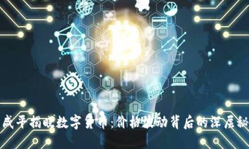 郎咸平揭晓数字货币：价格波动背后的深层秘密