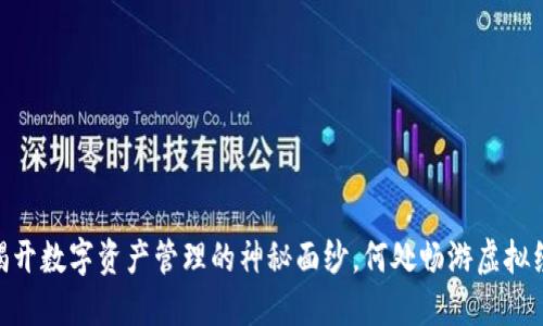 数字货币钱包：揭开数字资产管理的神秘面纱，何处畅游虚拟经济的无尽可能？