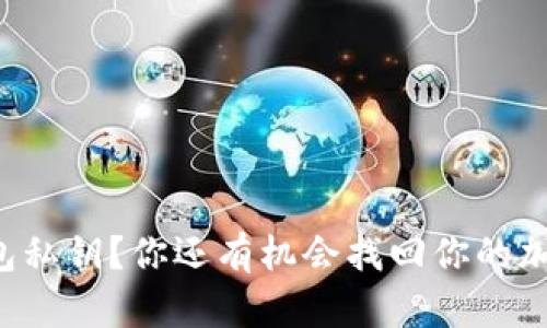 丢失TP钱包私钥？你还有机会找回你的加密资产吗？