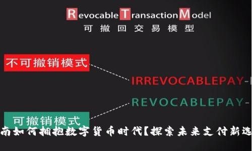 河南如何拥抱数字货币时代？探索未来支付新选择