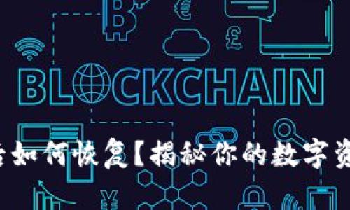 TP钱包删除后如何恢复？揭秘你的数字资产保护秘籍！