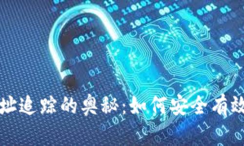 探索TP钱包持币地址追踪的奥秘：如何安全有效管理你的数字资产