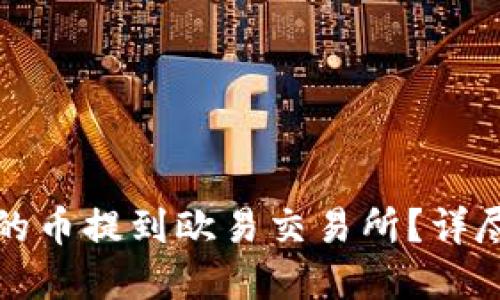 如何将TP钱包中的币提到欧易交易所？详尽指导与实用技巧