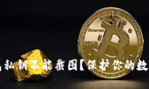 为何TP钱包私钥不能截图？保护你的数字资产安全