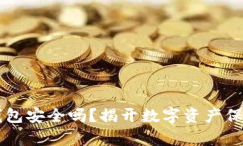以太坊钱包安全吗？揭开数字资产保护的真相
