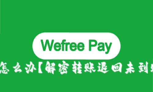 :TP钱包转账失败了怎么办？解密转账退回未到账的原因与解决方案