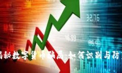 揭秘数字货币骗局：如何识别与防范