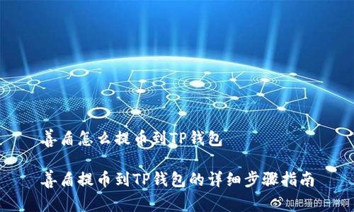 善盾怎么提币到TP钱包

善盾提币到TP钱包的详细步骤指南