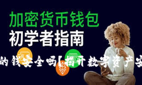 TP钱包里的钱安全吗？揭开数字资产安全的真相
