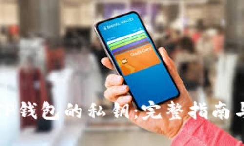 如何查看TP钱包的私钥：完整指南与安全提示