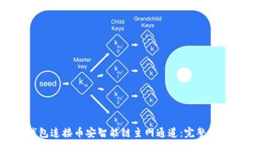 如何使用TP钱包连接币安智能链主网通道：完整指南及实用技巧