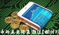 Pi Network：数字货币的未来还是泡沫？探讨Pi停止