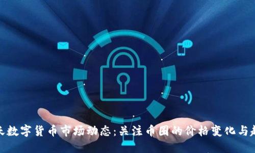 今天数字货币市场动态：关注币圈的价格变化与趋势