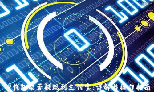 
TP钱包能否提现到支付宝：详解与操作指南