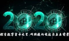 探索数字货币之星：网瑞捷的崛起与未来前景
