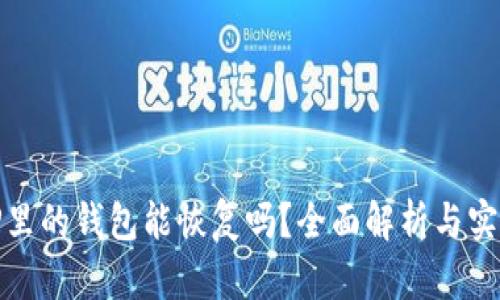 删除TP里的钱包能恢复吗？全面解析与实用技巧