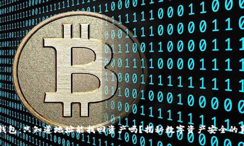TP钱包：只知道地址能找回资产吗？揭秘数字资产安全的真相