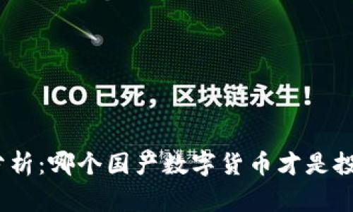 : 深入分析：哪个国产数字货币才是投资赢家？