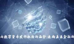 揭开国内数字货币发行机构的面纱：走向未来金