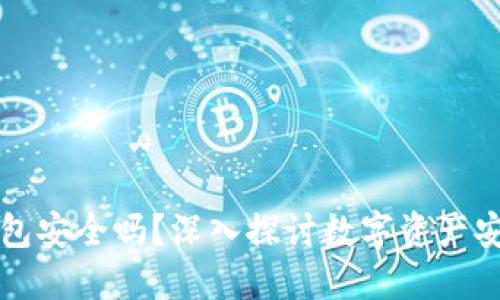 以太坊网页版钱包安全吗？深入探讨数字资产安全性与选择技巧