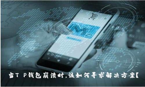 当T P钱包崩溃时，该如何寻求解决方案？