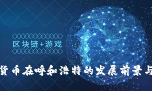 数字货币在呼和浩特的发展前景与挑战