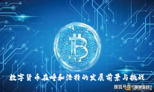 数字货币在呼和浩特的发展前景与挑战