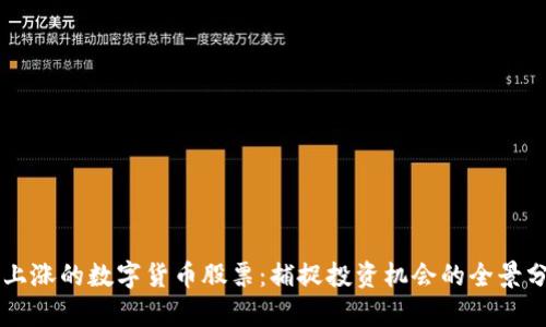 未上涨的数字货币股票：捕捉投资机会的全景分析