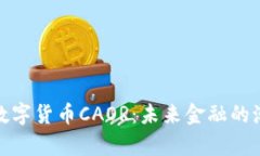 全面解析数字货币CAOR：未来金融的潮流与机遇